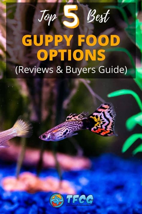 Best Rated Food for Guppies in 2024 • (Reviews & Guide).